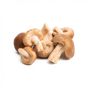 Setas Shiitake peso aproximado bandeja 250 grs